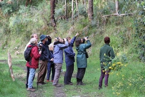 MEG Spring Bird Walk 2012. Photo by Kim Wormald.